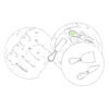 Manche Ustensil 1 Face A
