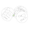 Manche Ustensil 1 Face B