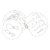 Manche Ustensil 3 Face B