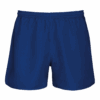dark-royal-blue
