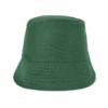 forest-green