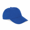 royal-blue