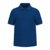 royal-blue