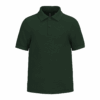 forest-green