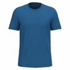light-royal-blue