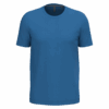 light-royal-blue