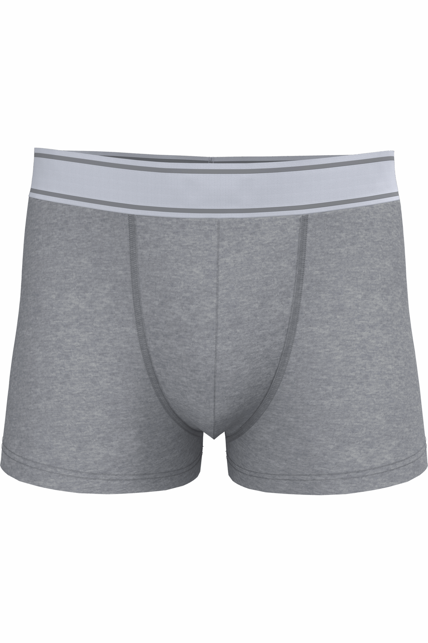 Miniature 10 pour Boxer