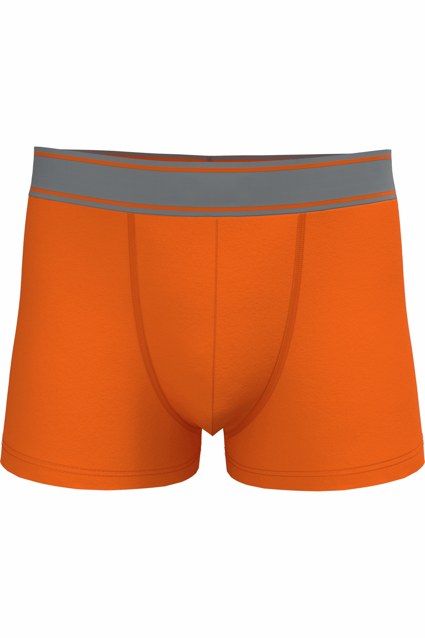Miniature 9 pour Boxer