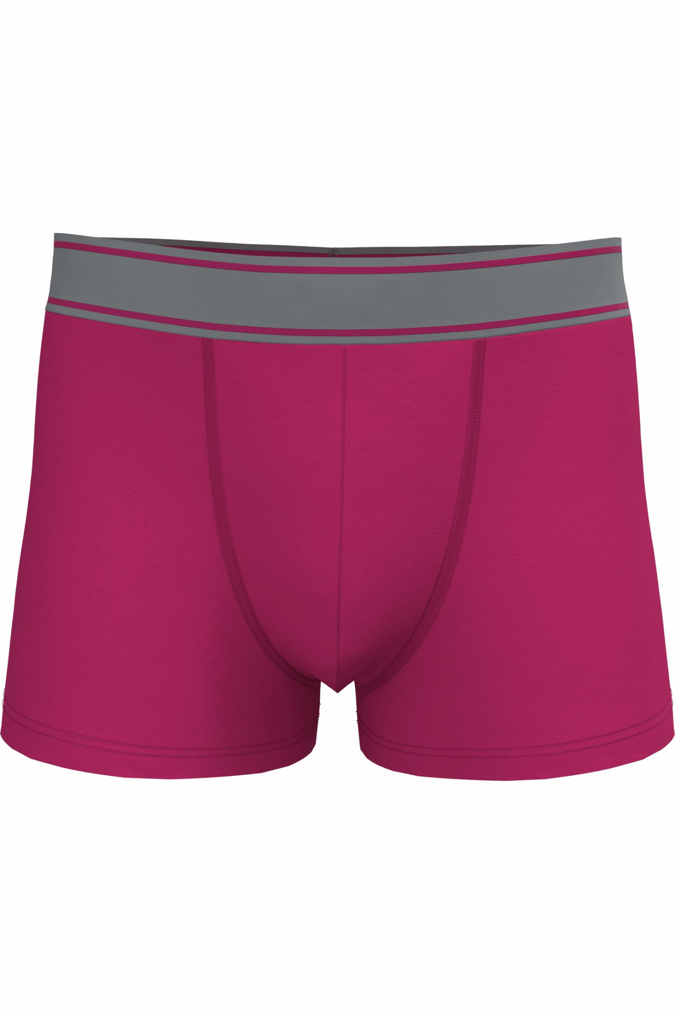 Miniature 6 pour Boxer