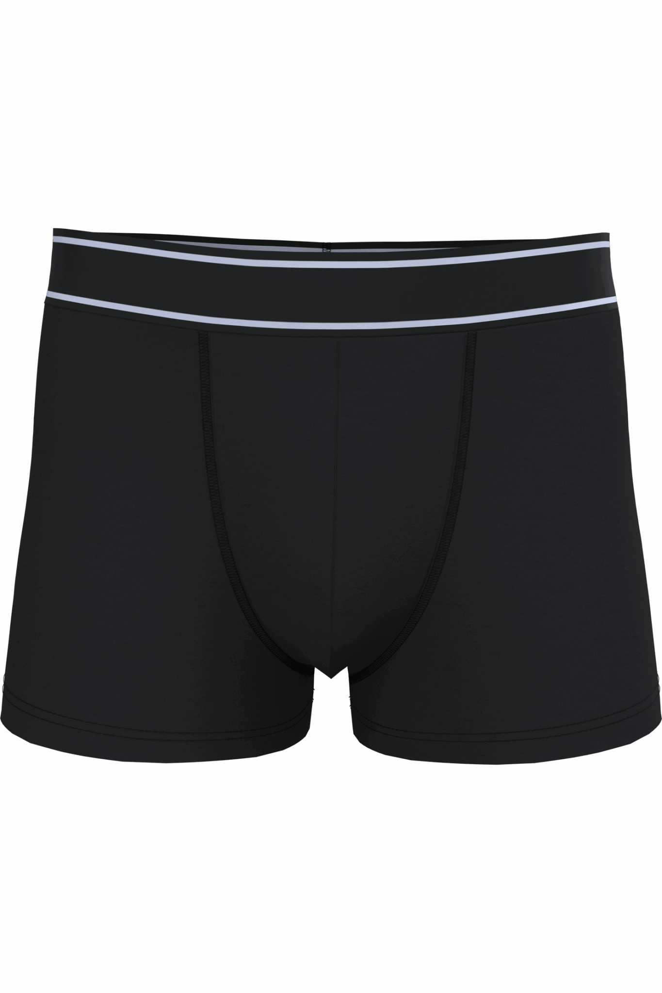 Miniature 5 pour Boxer