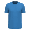 light-royal-blue
