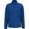 royal-blue