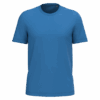 light-royal-blue