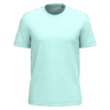 ice-mint
