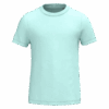 ice-mint