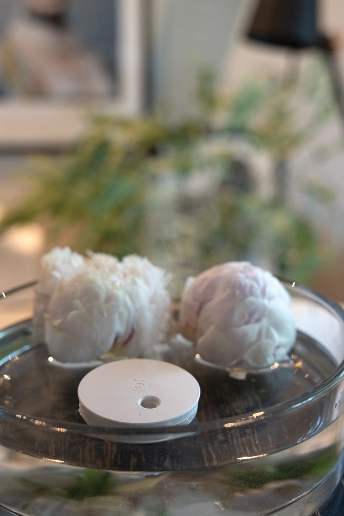 Miniature 10 pour Humidificateur flottant en ABS RCS Breevia