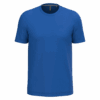 royal-blue
