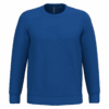 royal-blue