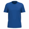 royal-blue