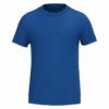 royal-blue