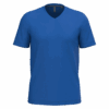 royal-blue