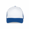 white-royal-blue