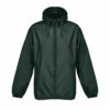 vert-foret-blanc