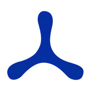 Visuel Frisbee Pube - personnalisable